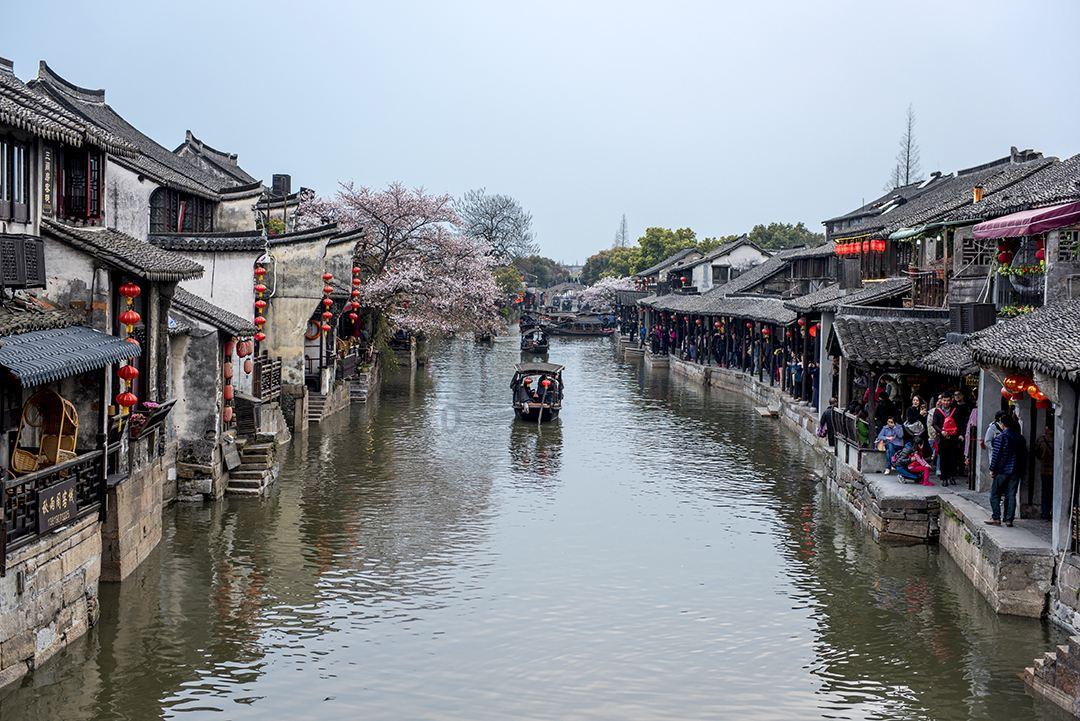 石家庄陆军学校招录多少分游戏画面